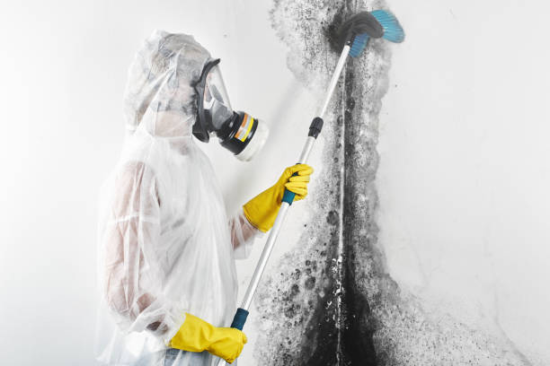 Best Residential Mold Inspection & Testing  in Vicksburg, MS