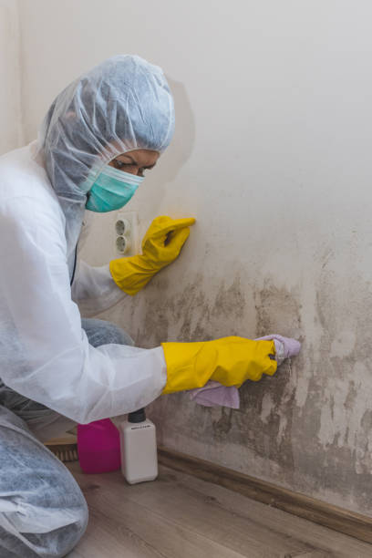 Best Air Quality Testing for Mold Spores  in Vicksburg, MS