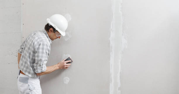 Best Commercial Mold Inspection  in Vicksburg, MS