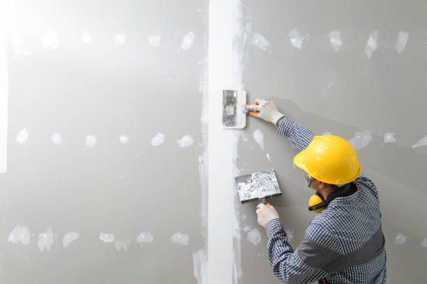 Best Water Damage & Mold Remediation  in Vicksburg, MS