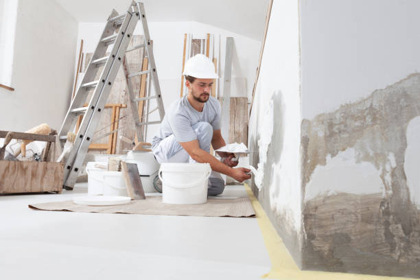 Best Mold Prevention Services  in Vicksburg, MS
