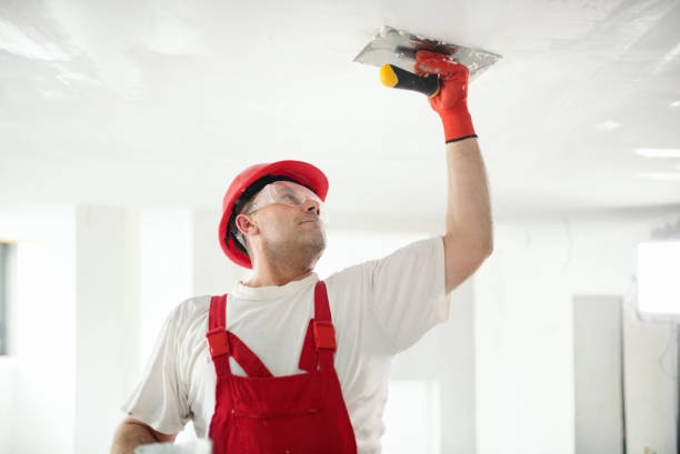 Best Basement Mold Removal  in Vicksburg, MS