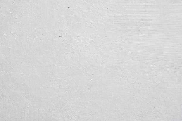 Trusted Vicksburg, MS Mold Removal Experts