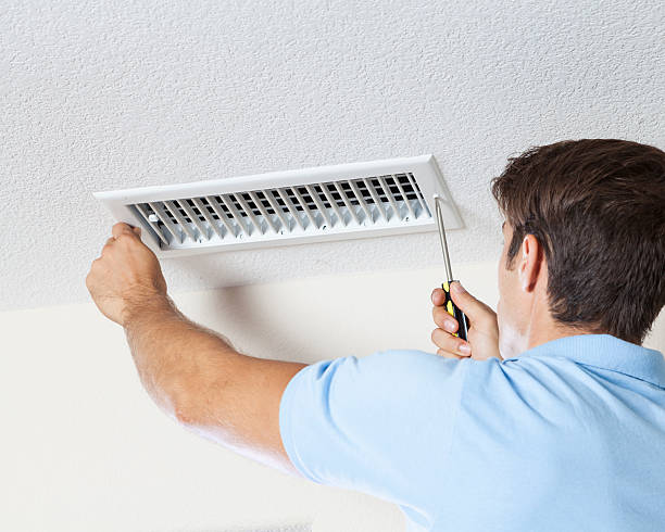 Best Environmental Consulting for Mold Prevention  in Vicksburg, MS