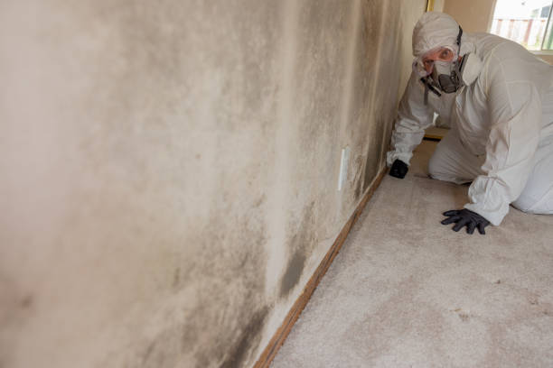 Best Indoor Air Quality Assessment  in Vicksburg, MS