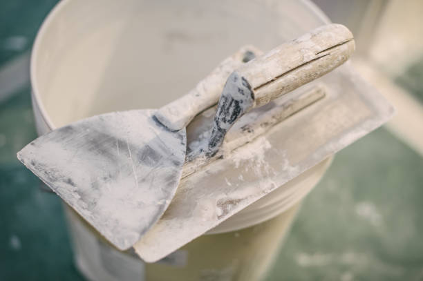 Best Mold Remediation for Healthcare Facilities  in Vicksburg, MS